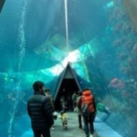 水のトンネル