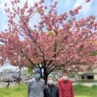 春のお花見