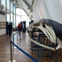 秋は旅行の季節